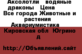 Аксолотли / водяные драконы › Цена ­ 500 - Все города Животные и растения » Аквариумистика   . Кировская обл.,Югрино д.